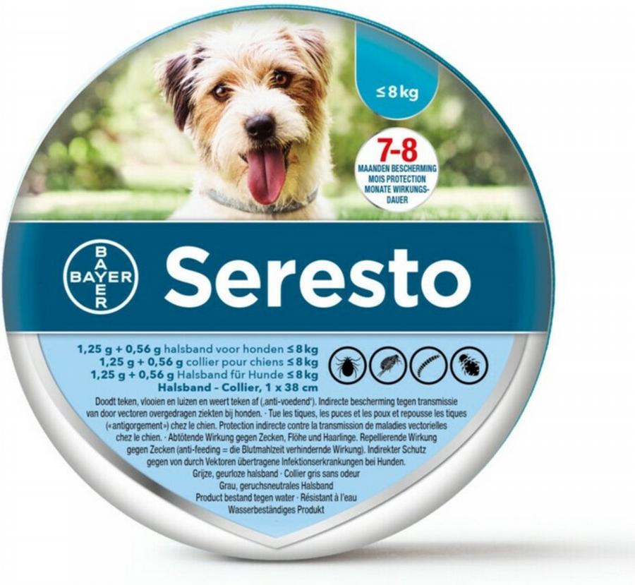 dier h serestoband kleine hond 1st
