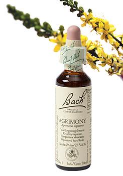 Bach Agrimony/agrimonie