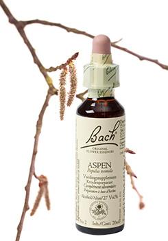Bach Aspen/ratelpopulier