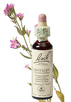 Bach Centaury/duizendgulden