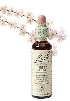 Bach Cherry plum/kerspruim