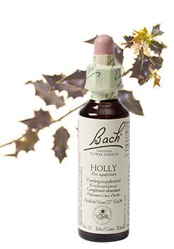 Bach Holly/hulst