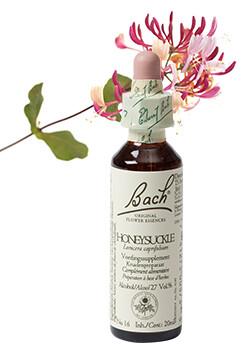 Honeysuckle/kamperfoelie