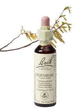 Bach Hornbeam/haagbeuk
