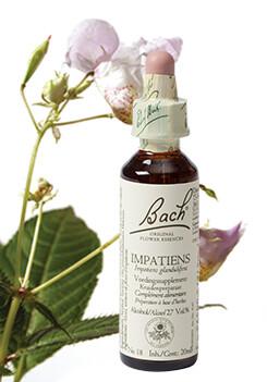 Bach Impatiens/reuzebalsemien