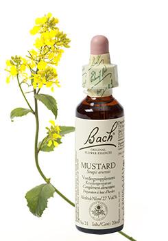 Mustard/herik