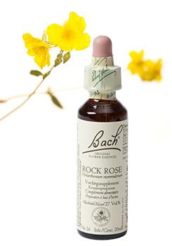 Bach Rock rose/zonneroosje