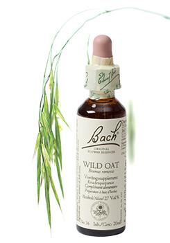 Bach Wild oat/dravik