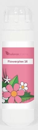 HFP014 Kosmos Flowerplex