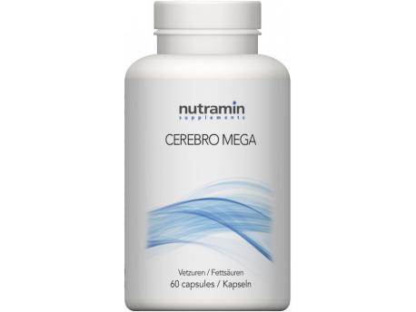 Cerebro mega