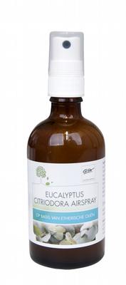 G&W Airspray eucalyptus 100 ml