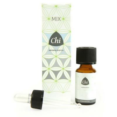 CHI Chi Kerstmix 10ml