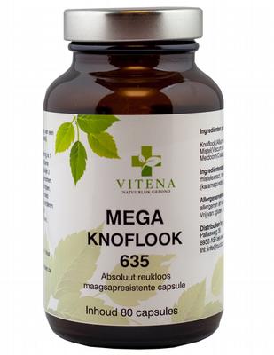 VITENA Knoflook 635 mg maceraat