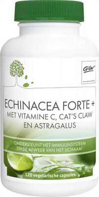 G&W Echinacea forte plus vegetarische capsule 120 vcaps