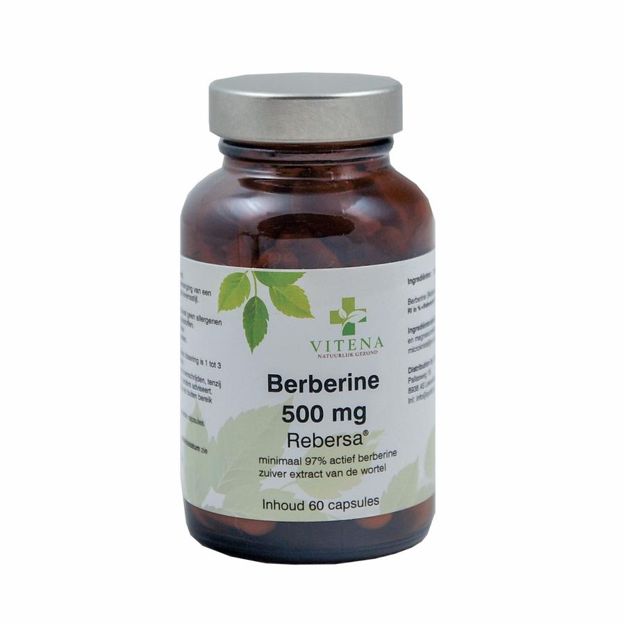 berberine berbersa® 500 mg