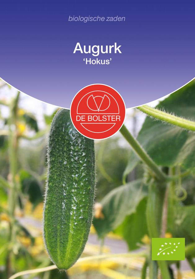 Augurk hokus