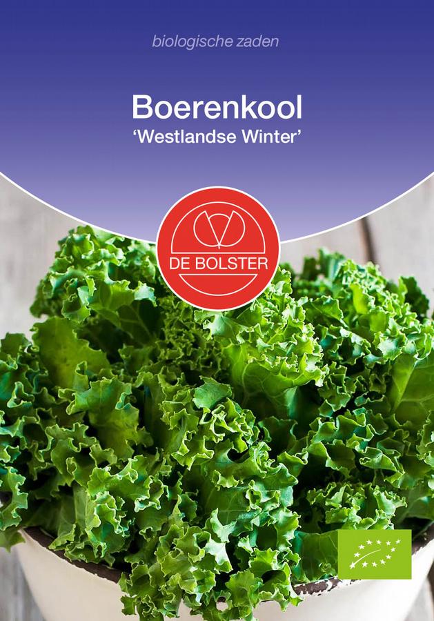 Boerenkool 'westlandse winter'