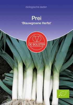 DE BOLSTER Prei 'blauwgroene herfst'