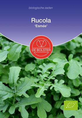 DE BOLSTER Rucola 'esmee'