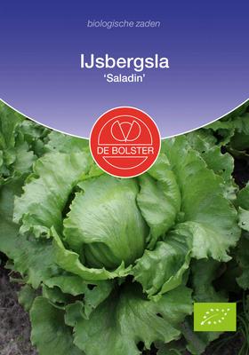 DE BOLSTER Ijsbergsla 'saladin'