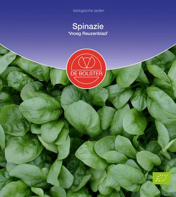 DE BOLSTER Spinazie 'vroeg reuzenblad'