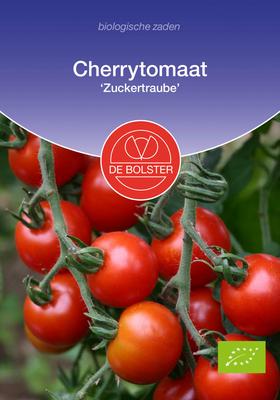 DE BOLSTER Cherrytomaat 'zuckertraube'
