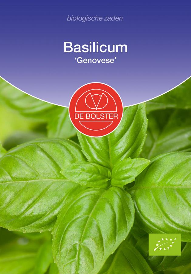 Basilicum 'genovese'
