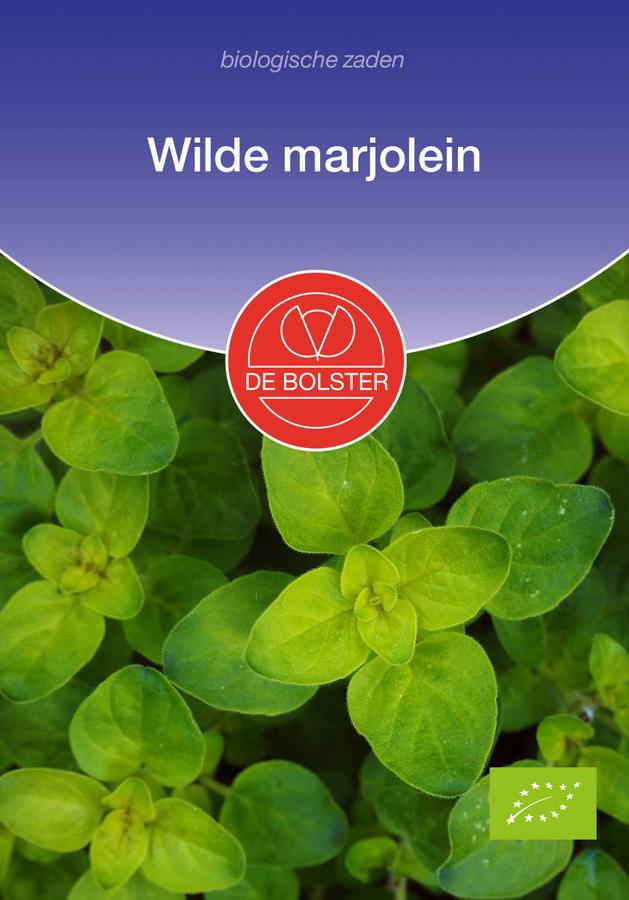 Wilde marjolein origanum vulgare