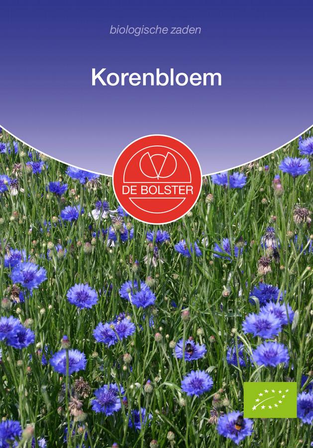 Korenbloem
