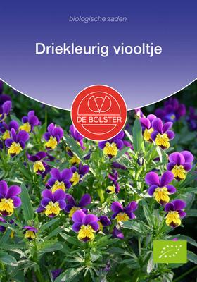 DE BOLSTER Driekleurig viooltje
