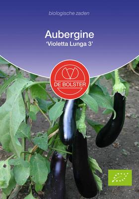 DE BOLSTER Aubergine 'violetta lunga 3'