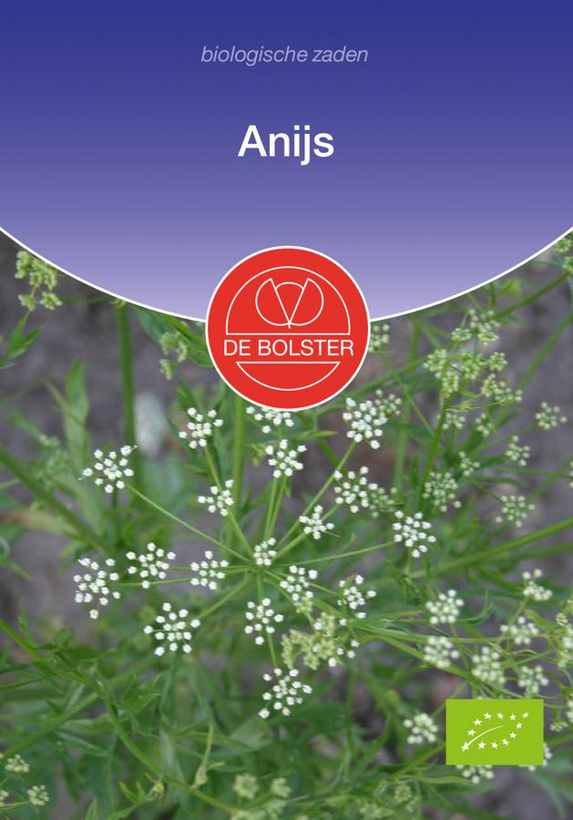 Anijs