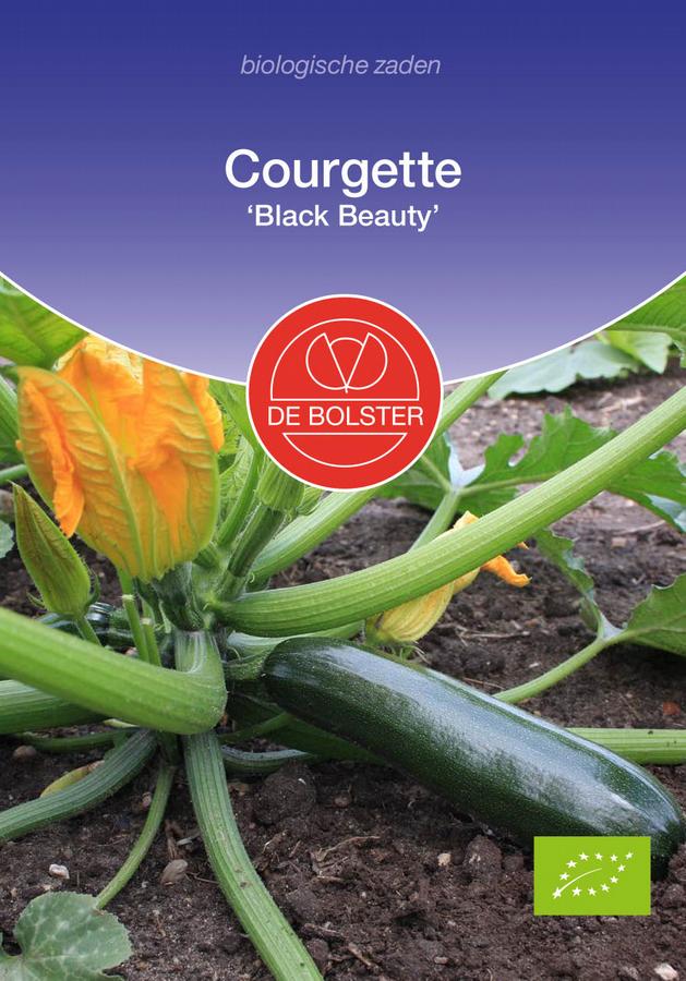 Courgette 'black beauty'