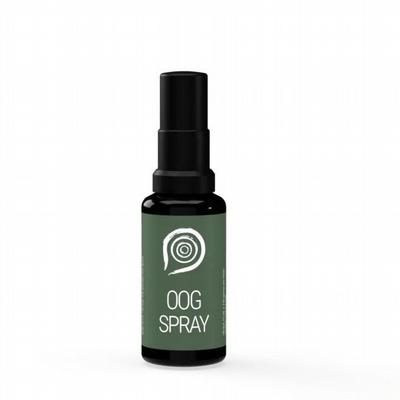 THE HEALTH FACTORY Nano Oog Spray 15 ml (zink)