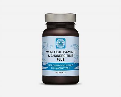 KALA HEALTH B.V. msmgc plus