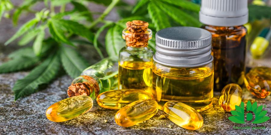 Alles wat je moet weten over CBD olie