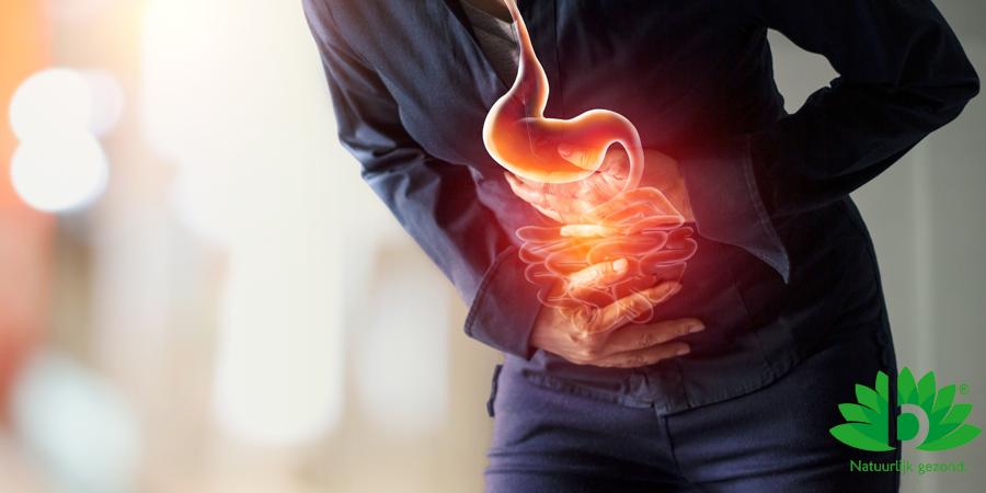 Bacterie als grootste boosdoener bij maagzweer