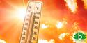EHBO bij zomerklachten, ben jij al klaar voor de zomer?