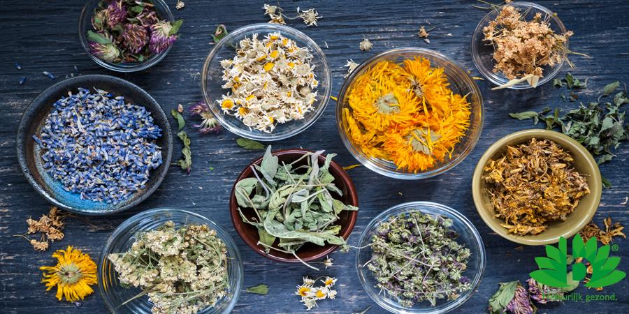 Fytotherapie: de wetenschappelijke kruidengeneeskunde