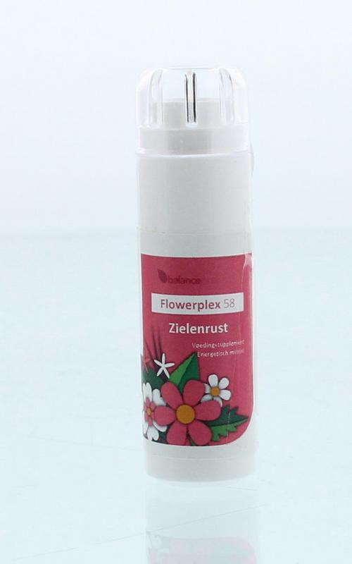 HFP058 Zielerust Flowerplex