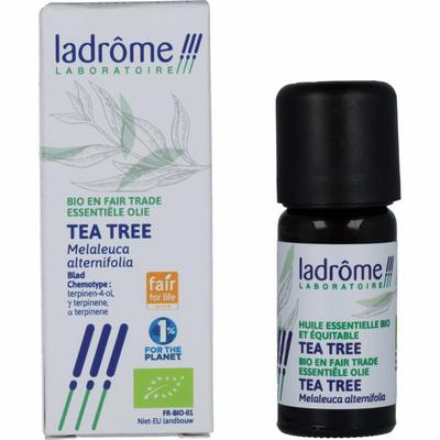 Ladrome melaleuca alternifolia tea tre