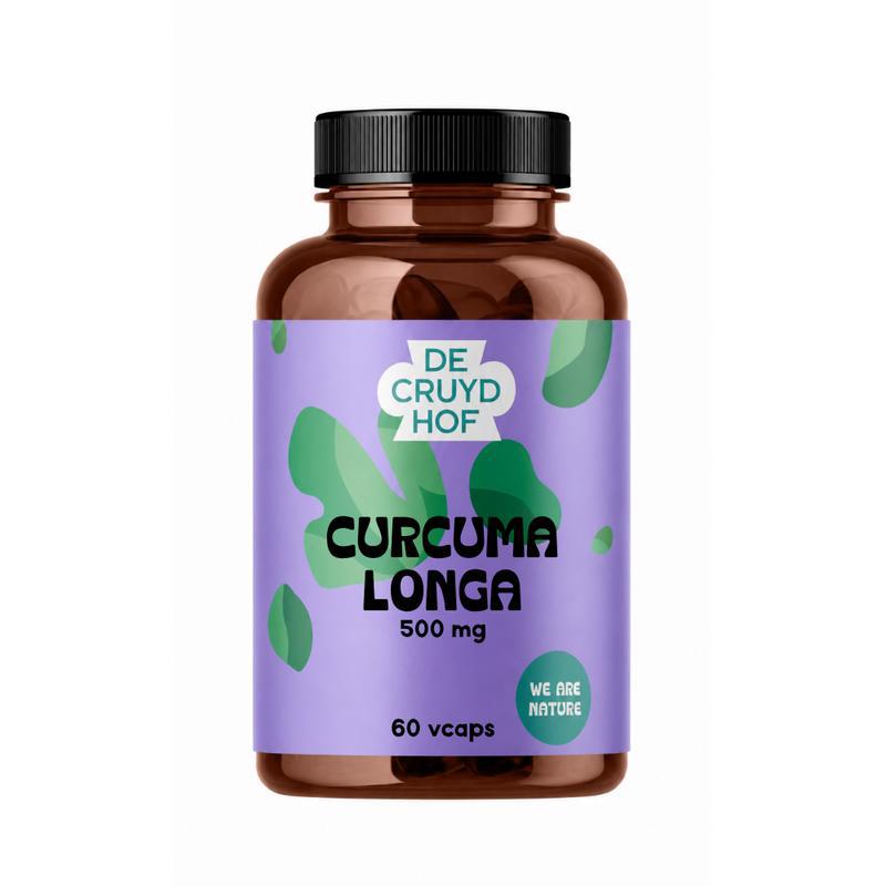 Curcuma longa
