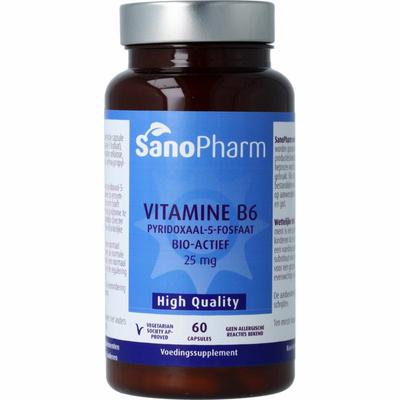 SanoPharm high quality vitamine b6