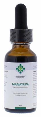 Epigenar Manayupa