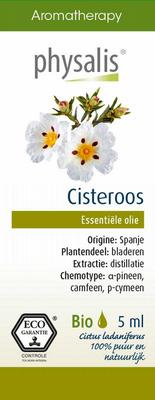 Physalis Cisteroos bio