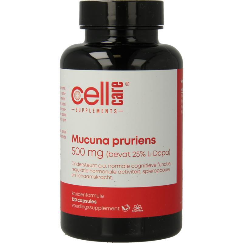 Mucuna pruriens 500mg (25% L-dopa)