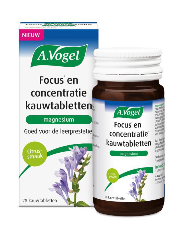 Focus en concentratie