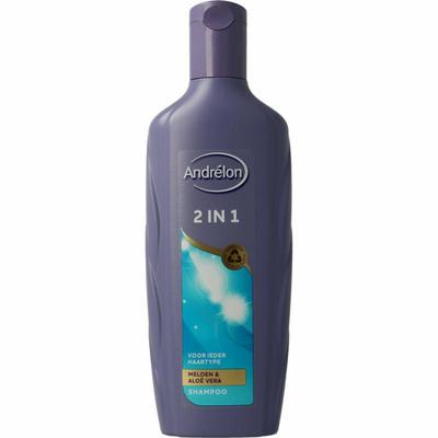Andrelon Shampoo 2 in 1