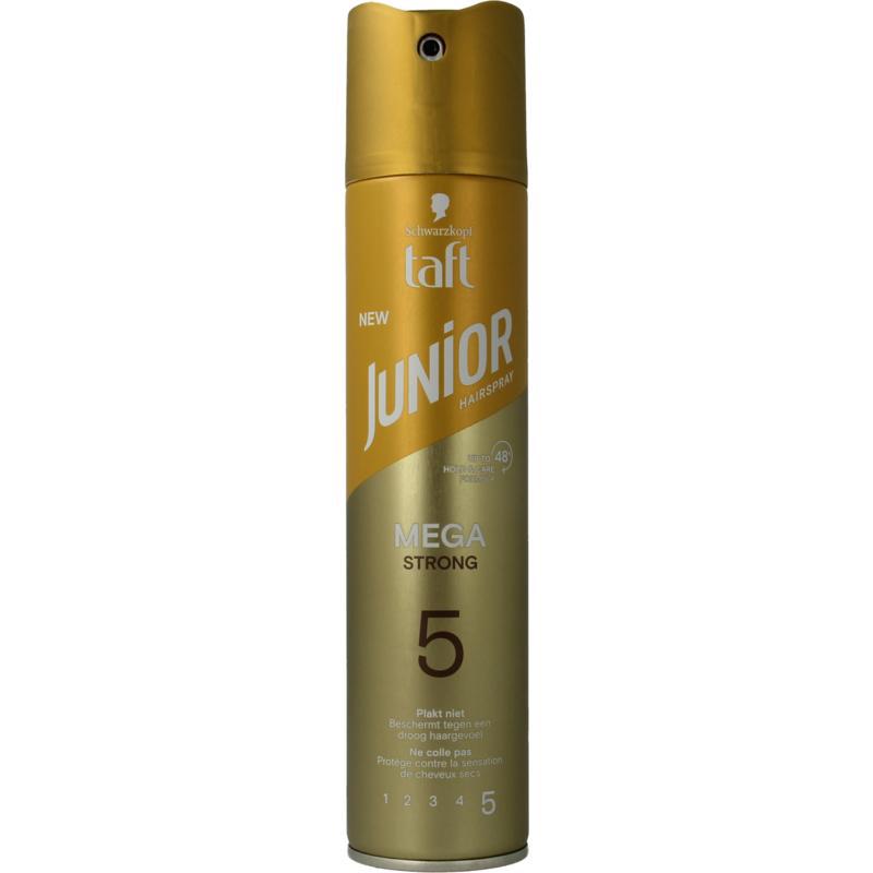 Hairspray mega strong