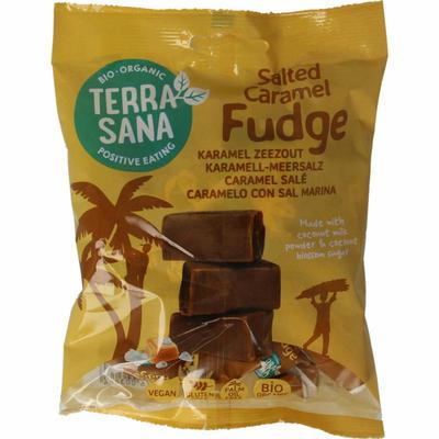 TerraSana Fudge karamel zeezout bio